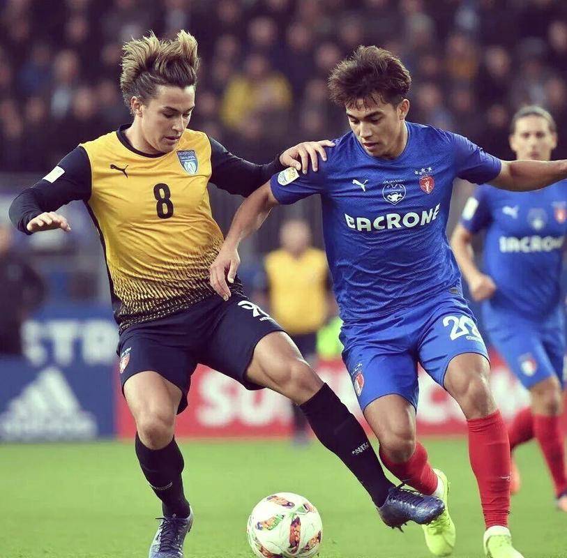 窗口期法国杯焦点战，新奥尔良鹈鹕豪取连胜，话题不断，控场能力受关注(王洛勇焦裕禄免费观看)